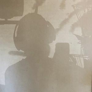 Foxesinscreamingcolor's profile picture