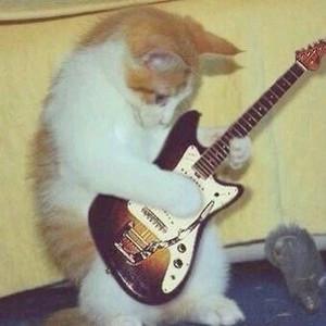 sahreeemm's profile picture