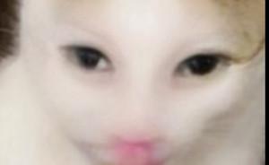 arabellamia's profile picture