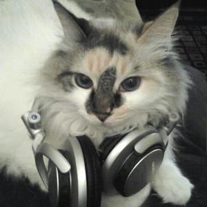 grace =(^._.^)='s profile picture