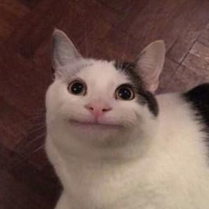 Mary's profile picture