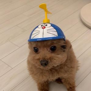 Taylor's profile picture