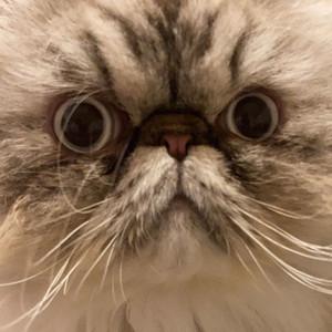 michaelwave's profile picture