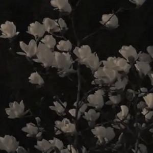 stella's profile picture