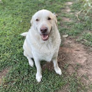 Emily!!'s profile picture