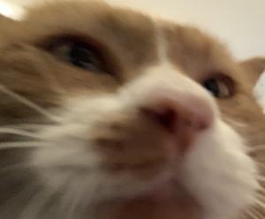 hedbc's profile picture