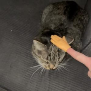 Jacob's profile picture