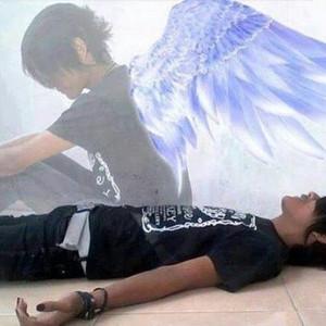 belua's profile picture