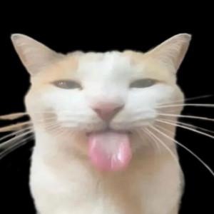ian's profile picture