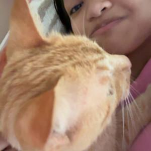 Lovest3llaa's profile picture