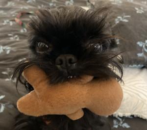 Nelly's profile picture