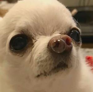 katie peterson's profile picture