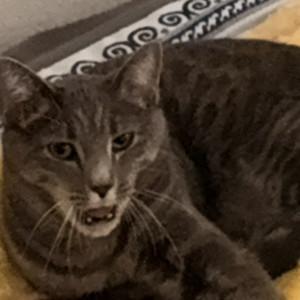iquintana03's profile picture
