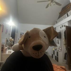 Olive Greco's profile picture