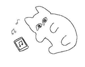 amalia's profile picture