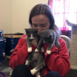 kaileyvalenti's profile picture