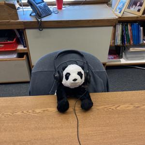 7_pandas