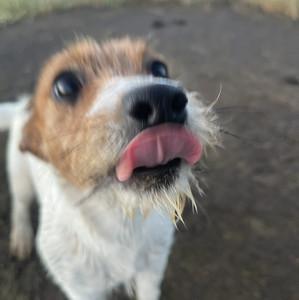 XAR's profile picture