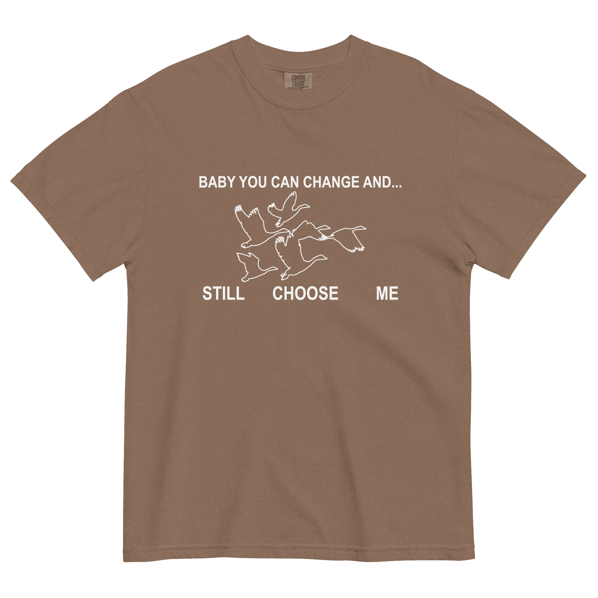 Geese x alburynyc T-shirt