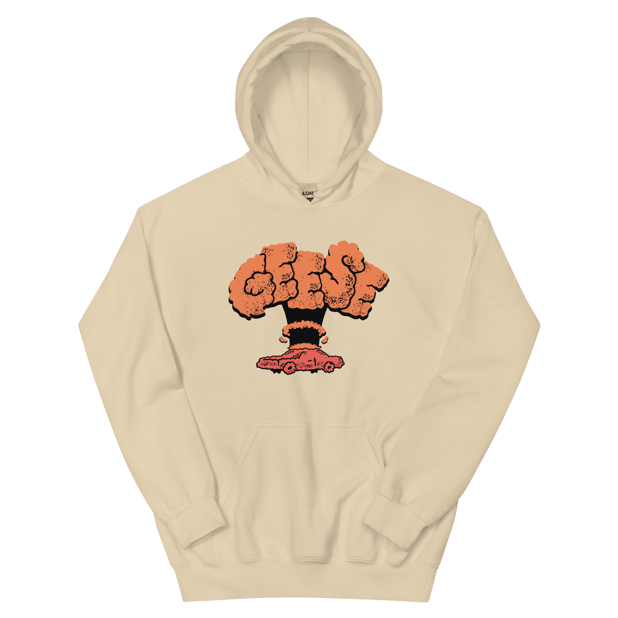 Geese x ilovebugs Hoodie